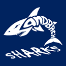 Sandbach Sharks Swimming Club Logo